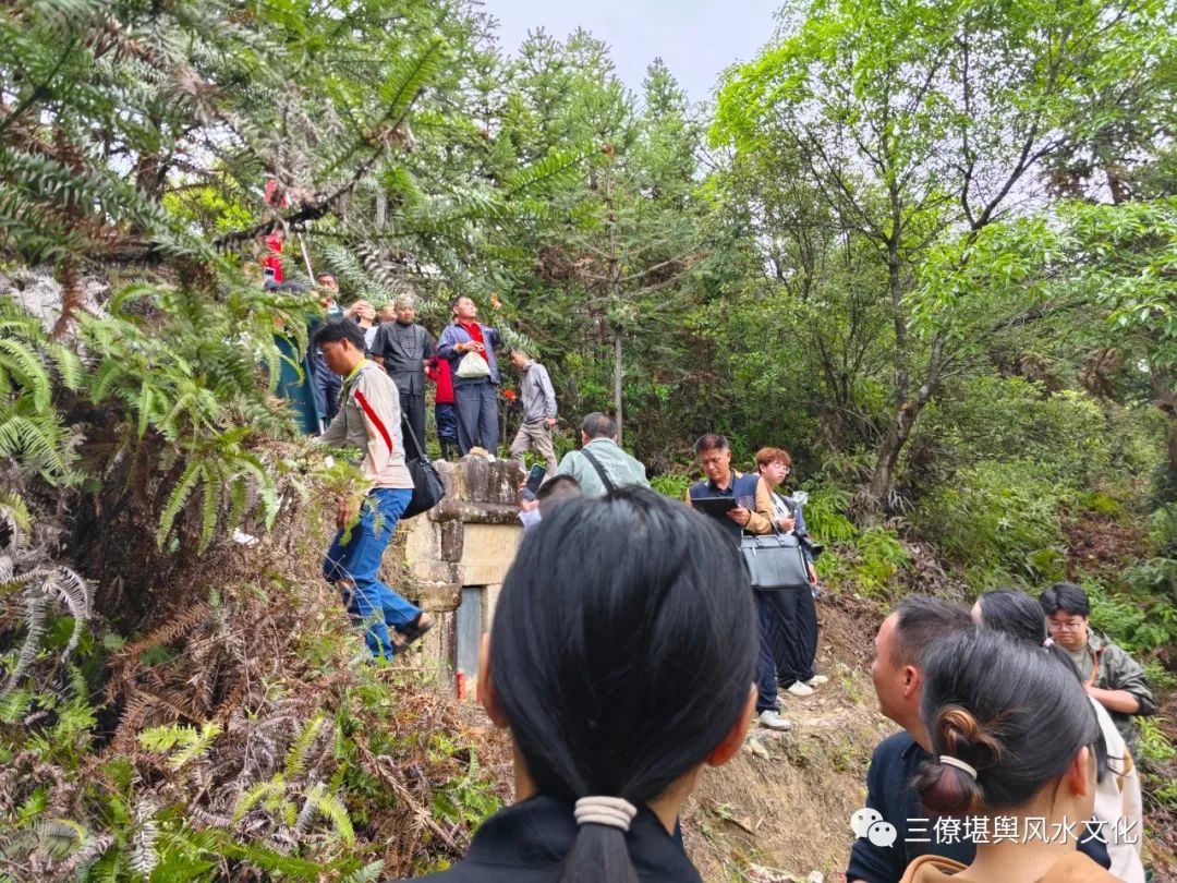 为学员讲解分析：龙马地