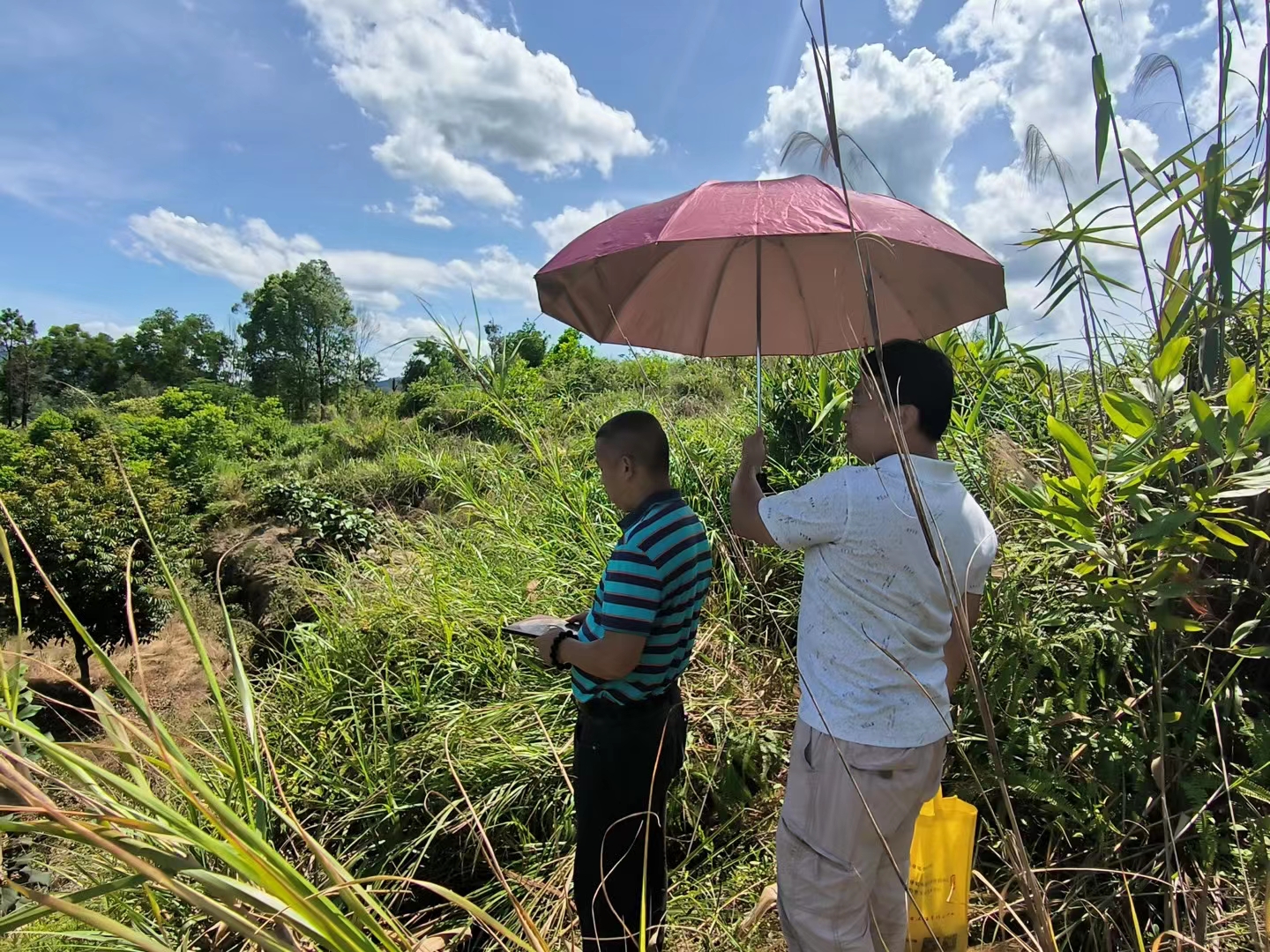 端午节太阳当空照：三僚曾真君为福主找地