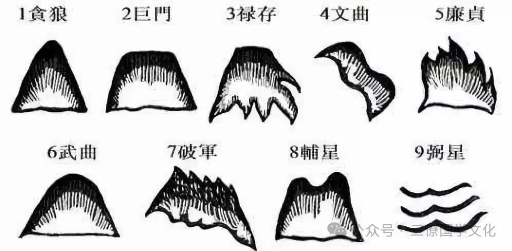 杨公九星： 贪狼木、巨门土、禄存土、文曲水、廉贞火、武曲金、破军金、左辅金、右弼水。这是杨筠松分类的龙山九星也，又叫老九星，九星之中只有右弼星无定形，所以右弼星一般没有图示。 在风水学术中，论峦头，有五星与九星之分。五星为金木水火土，分为立体及眠体二格。金星正体形圆，木星正体形直，水星正体形曲，火星正体形尖，土星正体形方。凡五个正星体，都可变换成九个其它星形，即五星变九星，九星又九变。正体力量雄厚而，官职大，变体力量小，官职小。 寻龙的关键是在考察龙格，而卜穴之前必须辨别穴星的类型。古人将穴星按五星分类，后来又按照九星分类。  杨公九星详解： （1）、以方者为巨门星，小而方者为平头土，为棋盘土，高而大者为巨门土，御屏土。 （2）、以头圆足阔，端庄秀丽，属于武曲。 （3）、以笋峰顿起，头尖而身不斜，顶不侧者，为贪狼星之正体。 （4）、以上如顿鼓，下有脚如瓜瓠者，为禄存星之正体。 （5）、以如惊蛇，如鹅颈，如撒网者，为文曲星之正体。 （6）、以头尖而粗大，恶石崚嶒者，为廉贞星之正体。 （7）、以头圆如破伞，脚多斜飞而带破石，如走旗者，为破军星之正体。 （8）、以前高后低，如大小驼峰者，为左辅星之正体。 （9）、以平地如铺如展席者，为右弼星，但无正形者矣。 杨公九星穴法歌诀 贪狼作穴是乳头，巨门作穴窝中求。 武曲作穴钗钳觅，禄廉梳齿犁辟头。 文曲穴来坪里作，高处亦是掌心落。 破军作穴似戈矛，两傍左右手皆收。 定有两山皆护卫，不然一水过横流。 辅星正穴燕巢仰，若在高山挂灯样。 落在低平是鸡巢，纵有圆头亦凹象。 此是博换寻星穴，寻穴随龙细辨别。 龙若真兮穴亦真，龙不真兮少真穴。 寻龙虽易裁穴难，只为时人昧剥山。 剥龙换骨星变易，识得疑龙穴不难。 古人望龙知正穴，盖将失龙寻换节。 识得龙家换骨星，富贵令人无歇息。 一、贪狼星结穴 贪狼五行属木，有两种形状：一、立贪狼；二、横贪狼。立贪狼如初生之笋，有冲天之势。横贪狼好如平躺在地的木头。 《撼龙经》云：“贪狼自有十二样，尖圆方正小为上；欹斜侧岩倒破空，祸福轻重自不同。”又云：“贪狼若非廉作祖，为官也不到三公。”贪狼星属吉星，主福禄寿。 二、巨门星结穴 巨门星五行属土，大多结成玉屏、金书、诰轴一类的山峰。巨门星体方正，山顶平整，如平放的几案，又像馒头。巨门星枝叶不多，关峡也少，旁边却有护卫的山成左辅右弼。巨门星珍贵，所以有山护送。每到山势跌断剥换之处两边就有山峰如迎送保护的警卫，这些护卫之山峰大多成双成对，带刀带剑如警卫队。巨门星如没有护卫，只能建佛寺道观和神庙了。 《撼龙经》云：“枝叶不多关峡少，却有护卫随身旁；带旌带节来拥护，旌节之峰多是双；更有刀剑同拥护，刀剑送后前圆冈；若是独行无护卫，定做神祠佛道堂。” 三、禄存星结穴 禄存星五行属金，其形状如一面鼓，如果秀丽非常吉利。如果枝脚像螃蟹、蜘蛛之丑恶破碎，又行脉孤独，少缠护关栏，视为凶星大为不吉。贪狼、巨门、武曲为三吉星，如能有禄存星作为辅弼的龙脉就会形成很尊贵的局。禄存之山到处都有，吉凶全凭术者去分别。禄存星并不都是坏的，如能准确判断也可出公侯将相、巨富人丁，是相当尊贵的。 四、文曲星结穴 文曲星五行属水，山形长而山顶起伏如蛇行一样。性情柔顺象一条活鳝鱼那样最好。九星行龙皆会间夹文曲星峰而行，此是真龙行走剥换的标志。文曲星侧面成峰，如丝如缕多为平地龙，少有星峰突起，若有星峰辅弼同看。若是文曲星峰接连相生有情如峨眉样主出美女、发女贵，可出嫔妃、皇后。其家男子也因女贵得官职而富贵。如若文曲星无峰象死鳅死鳝，纵然好看而结穴，若建坟造宅主女子好色，男子恋酒色，得怪病，人丁冷退。如此之地只能建神坛神庙。大抵龙脉无十全十美，只要变化多，凶龙经过剥换蜕变也能结富贵之穴。  五、廉贞星结穴 廉贞星五行属火，星峰高大挺拔。山顶乱石嵯峨，有如伞摺、犁头，山色赤黑，似烈焰冲天。古人称之为红旗星、曜气星。廉贞星多做祖山，高大被称之为龙楼宝殿（祖峰尖而高曰楼，高而平曰殿），其下生出贪、巨、文等吉星。龙脉一路行来，辞楼下殿，重重帐幕，穿心而出。《撼龙经》云：“帐不穿心不入相”。又云：“帐幕多时贵亦多，一重只是富豪样。”《撼龙经》又云：“博龙换外有九段，此是公侯将相庭。红旗气雄威武在，行兵出师骇妖怪。权星威福得自专，纵人文阶亦武威。廉贞一变贪巨武，文武全才登宰辅。” 但是廉贞星不经过剥换而结穴，这样的穴地就会出犯上作乱的乱臣贼子。廉贞星峰多石而丑陋，不可以因丑陋而弃之，须祥察。廉贞星结穴一般主武贵者多。  六、武曲星结穴 武曲星五行属金，星峰形状象覆钟。覆钟高而覆釜矮。覆钟为武曲而覆釜为左辅，二者皆吉星，须细辨不能混肴。武曲端严而左辅只能作为来龙的护随龙，不可一概而论。贪狼与巨门来龙如果没有辅弼随从，气脉再好不能结穴。武曲之形状如贪狼而不尖，如巨门而带圆，似禄存而无足，与左辅形最相近但更高大。 《撼龙经》云：“武曲之星号一金，卓圭立笏高千寻。定主兵权富韬略，登坛即拜夷狄钦，楼层高耸立屏障，文华秀发称儒林。”武曲如楼台林立，高耸入云屏方千丈者主兵权封侯。如方冠峨峨清秀、三五相连主子孙形端秀、文章及第。 七、破军星结穴 破军星五行属金。《撼龙经》云：“破军星峰如走旗，前头高卓尾后低。两旁失陷落坑陷，壁立反裂形倾欹。” 破军星本身是不吉利的，但是破军星也是其他星体的变异体。如贪狼破军、巨门破军等等。如果破军的气脉上有尊星出现而结穴是非常吉利的。破军星是乱石横生、支离破碎、形体不整、模样凶恶的。但是破军星大多数是结穴的。凡风水术者均须识破军之体，否则由吉变凶灾祸立至，不但伤及主家而且会殃及风水师。剑脊龙就是破军星的一种。剑脊龙结穴是典型的杀师龙，凡习风水术者宜慎之慎之。 八、左辅星结穴 左辅星五行属金，形如古人头上之幞头。左辅星与武曲星相似，但比武曲矮小，有如倒扣的锅，为覆釜形。大龙大穴就有左辅星关栏。有形的是左辅星，无形的是右弼星。左辅星似梭如印、似月如日、如鱼似龟，以形秀圆峰小巧者是左辅，常生于真龙结穴之处，明堂的左上方与右弼星共成垣局。缠护越多其地愈贵。 九、右弼星结穴（右弼星因无正形，故不配图以免误导） 如梭、如丝、如虫、如鱼、如蛇，与左辅星一样，随其它星峰形状而定。